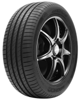 205/55R16 91V ROADHOG RGS02 