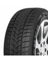 225/55R18 98V MINERVA FROSTRACK UHP NORDIC 