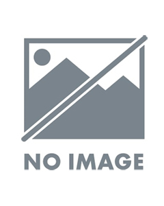 Alcar Stahlrad 6873 Black