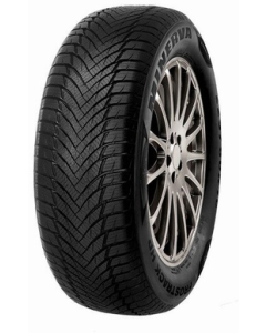 195/55R16 87H MINERVA FROSTRACK HP NORDIC 
