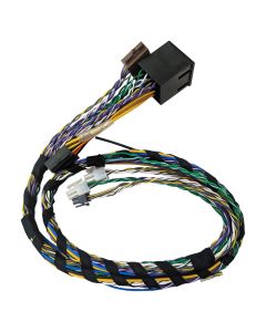 Phoenix Gold ISO-T kabel 2 m til ZXM500.4