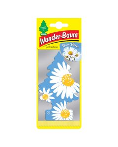 1 stk. Wunderbaum daisy flower